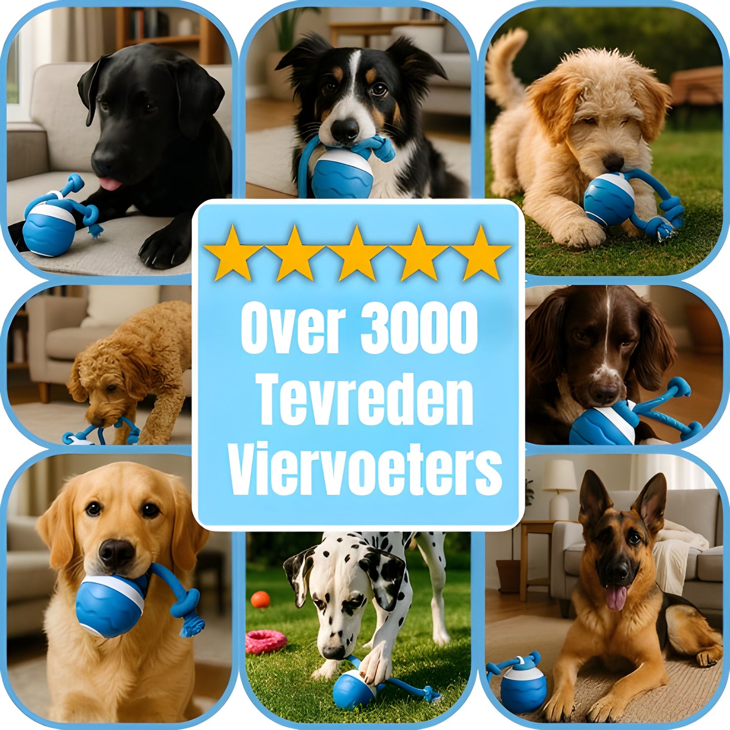 PlayBuddy™ – De interactieve hondenbal voor eindeloos plezier