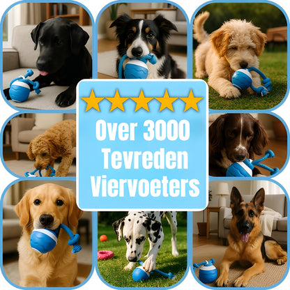 PlayBuddy™ – De interactieve hondenbal voor eindeloos plezier
